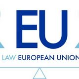 Call of interest - Intensive Course on "Rule of Law and Fundamental Rights Protection in the EU" - (R-EU-R January 2026) 